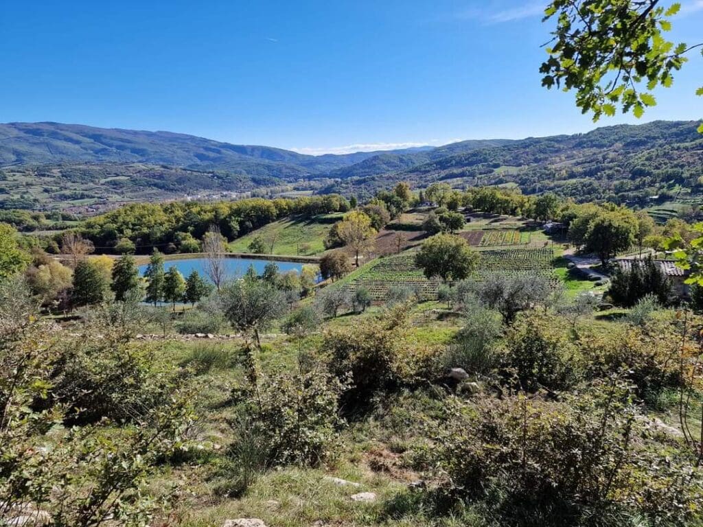 fattoria cuoreverde primavera