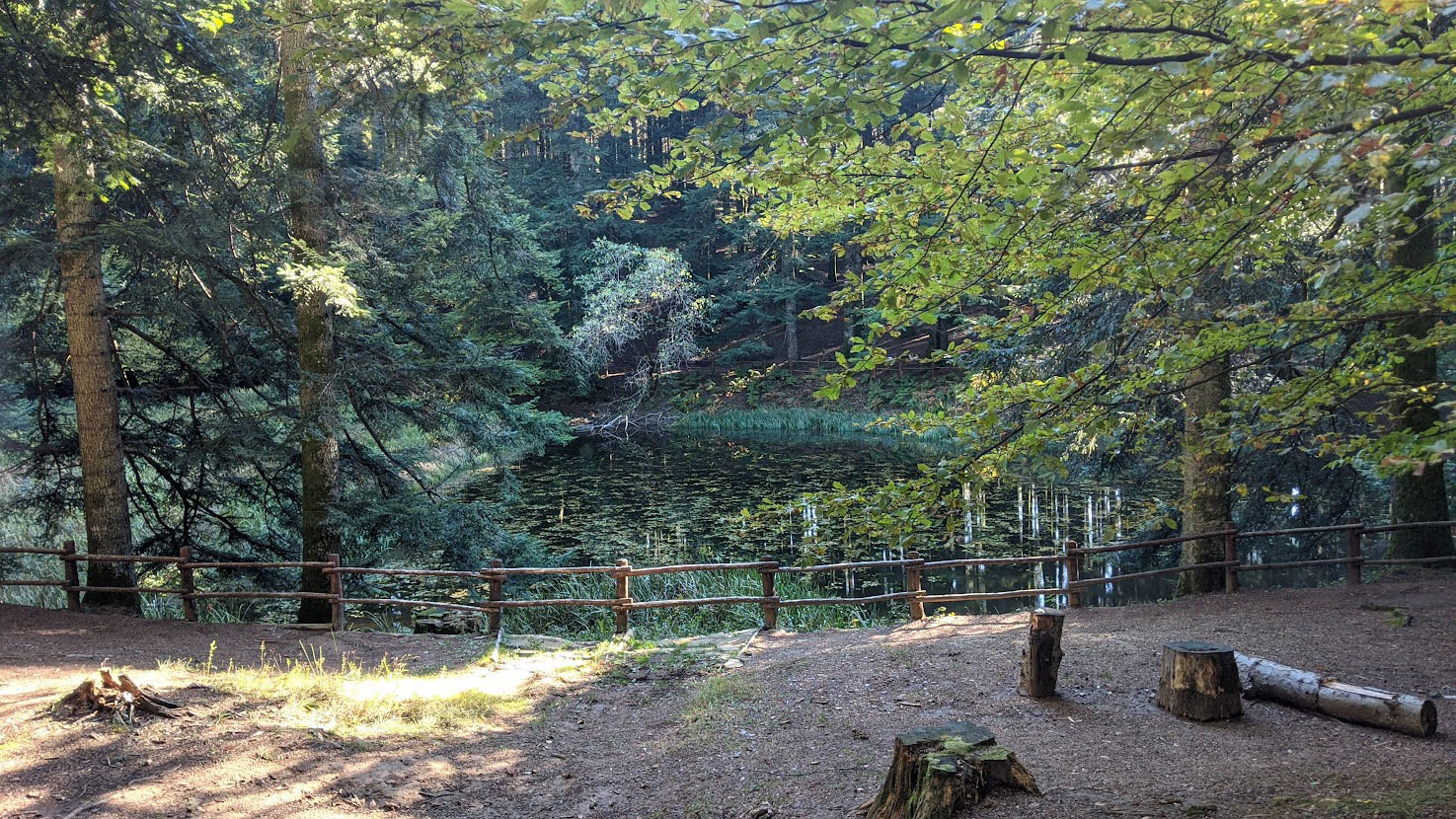 camaldoli ottobre