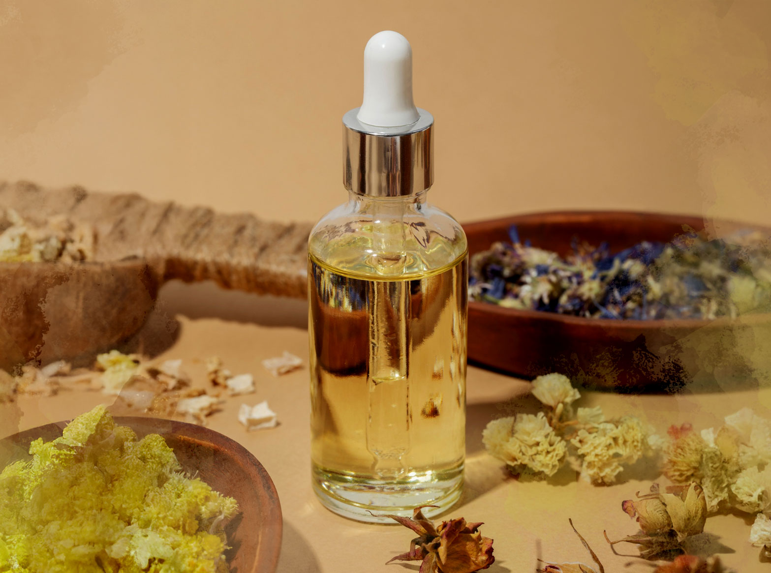 erboristeria bio 2025